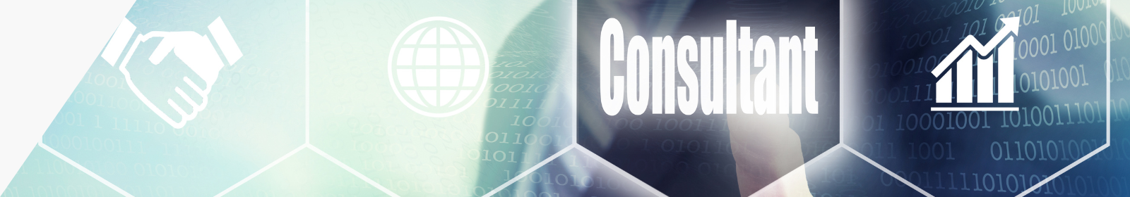 Consultoria Web