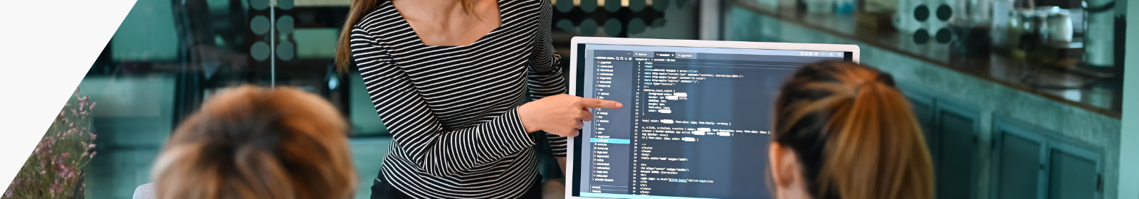 Desarrollo de Software