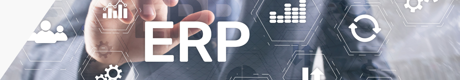 ERP GESTION